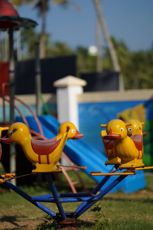 Colorful duck-shaped rides in a children's play area