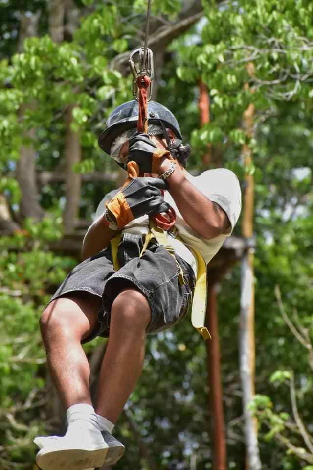 Harnessed participant riding a zipline among trees