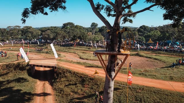 Zipline platform among trees by the track
