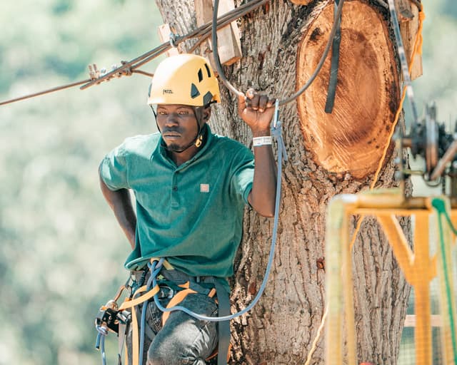 Helmeted visitor beside the zipline tree